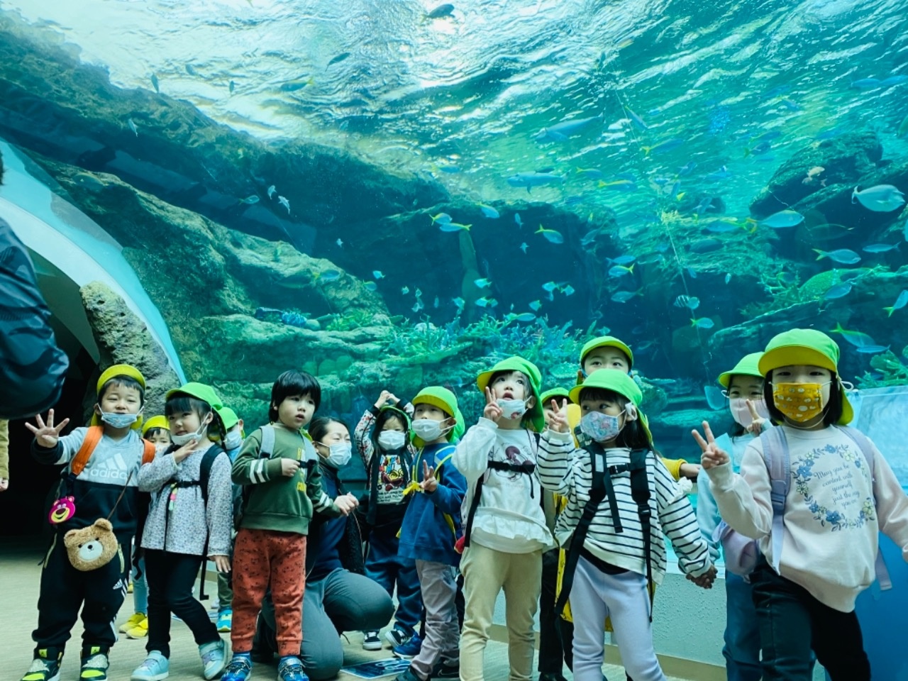 遠足（名古屋港水族館） | 行事 | みなみ保育園